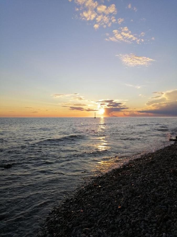 Pepe * Novigrad (Istria)